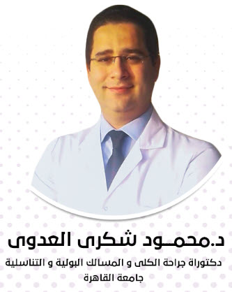 Dr Mahmoud ElAdawy